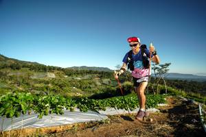 BIB: 
                            <button type="button" onclick="openModal(19119616)" class="btn btn-primary btn-sm float-right btn-popup" data-toggle="modal" data-target=".modal-high-quality">
                        <i class="fas fa-shopping-cart"></i> Add to Cart
                    </button>
                                            <button type="button" onclick="isThisMe(19119616, true)" class="btn btn-success btn-sm float-right btn-popup btn-isme hidden" data-toggle="tooltip" data-placement="bottom" title="นี่คือรูปของคุณใช่ไหม คลิกที่นี่เพื่อเอาเข้าอัลบั้ม">
                        <i class="fas fa-plus"></i> Add to album
                    </button>
                    <button type="button" onclick="isThisMe(19119616, false)" class="btn btn-warning btn-sm float-right btn-popup btn-isnotme hidden">
                        <i class="fas fa-ban"></i> Remove from album
                    </button>